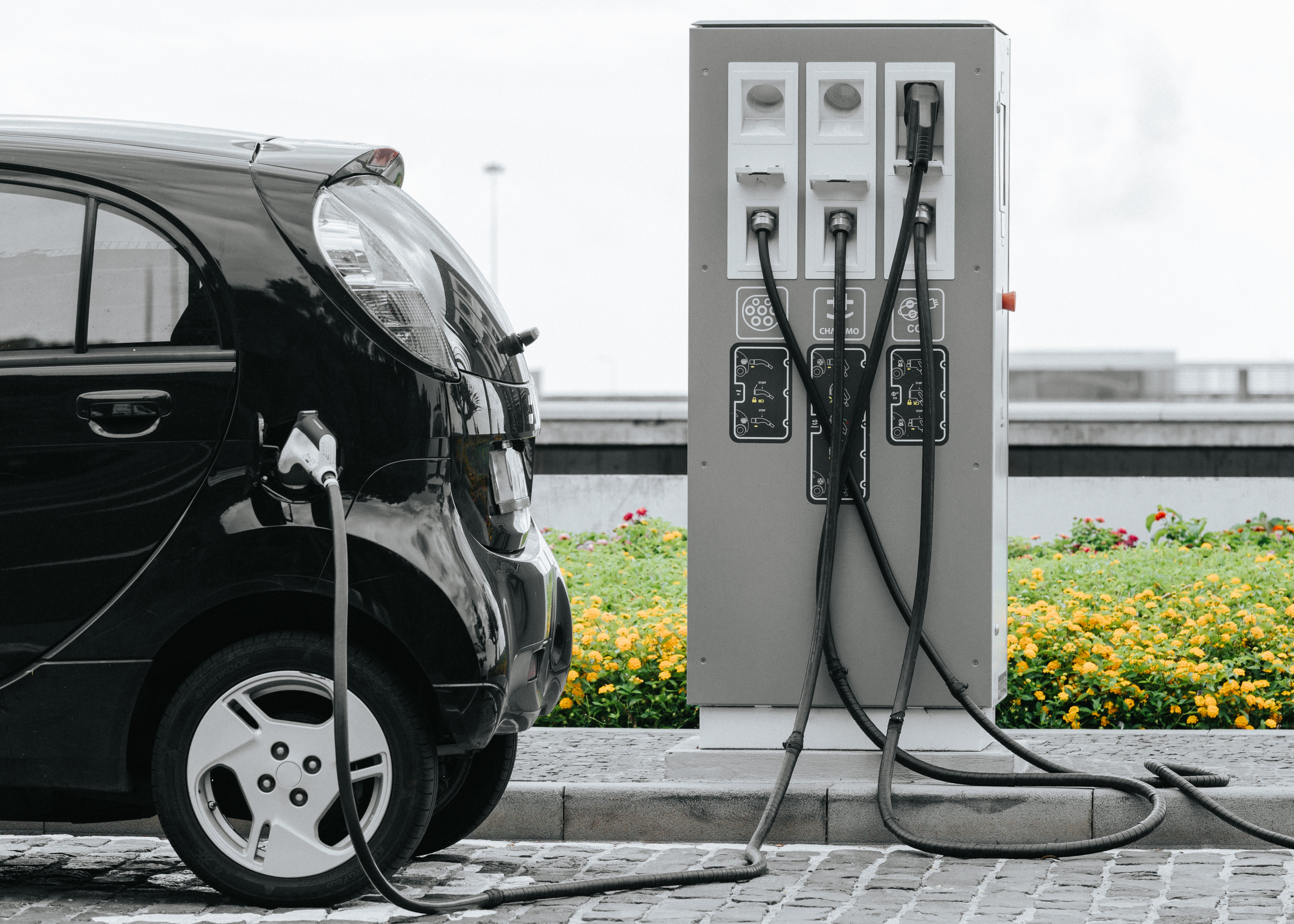 Município de Mafra pretende ampliar rede pública de carregamento em 12 locais